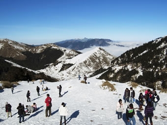 合歡山雪景